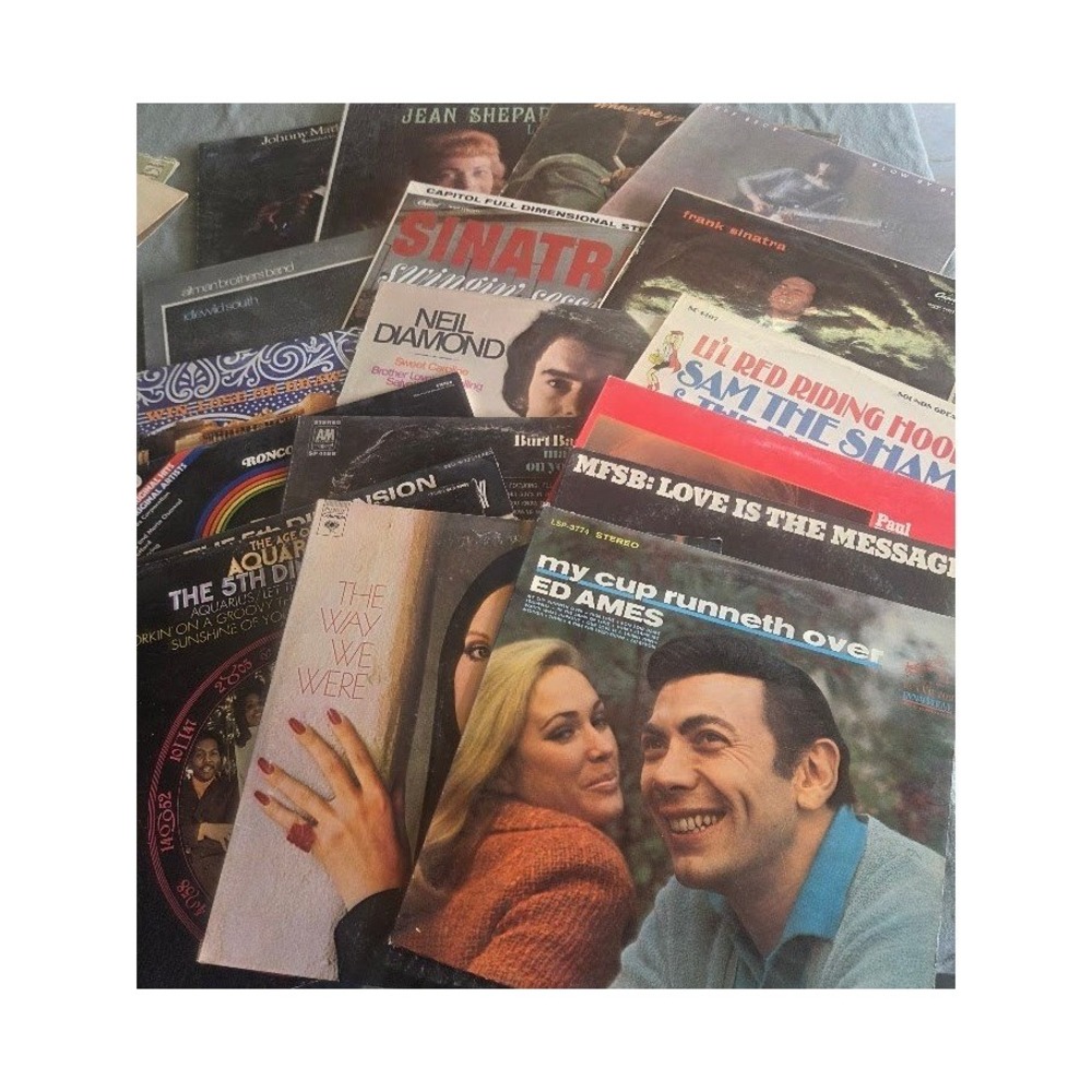 Vintage Vinyl Record Lot Untested